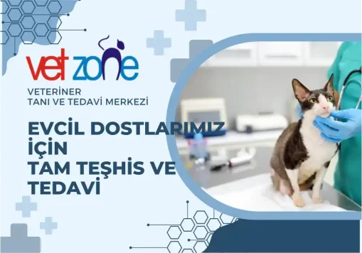 Vet Zone® Veteriner Tanı ve Tedavi Merkezi