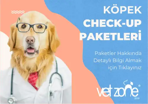 Köpek Check-Up Paketleri